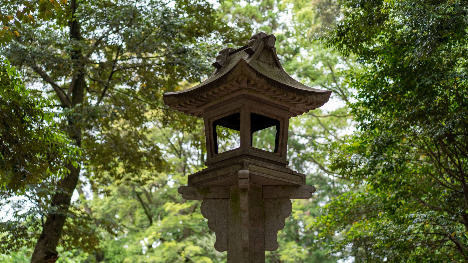 A stone lantern on a side path at Fushimi Inari, framed by leaves.